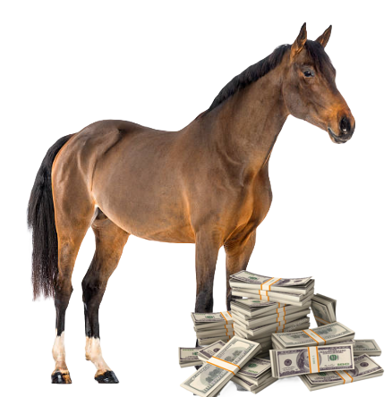 Horse NPCs