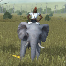 Nubian Elephants for Egypt