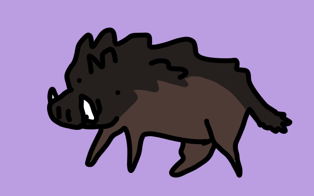better boar