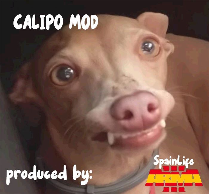 Calipo Mod Base