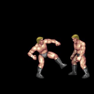Fierce Elbow Butt (Front Grapple(M))