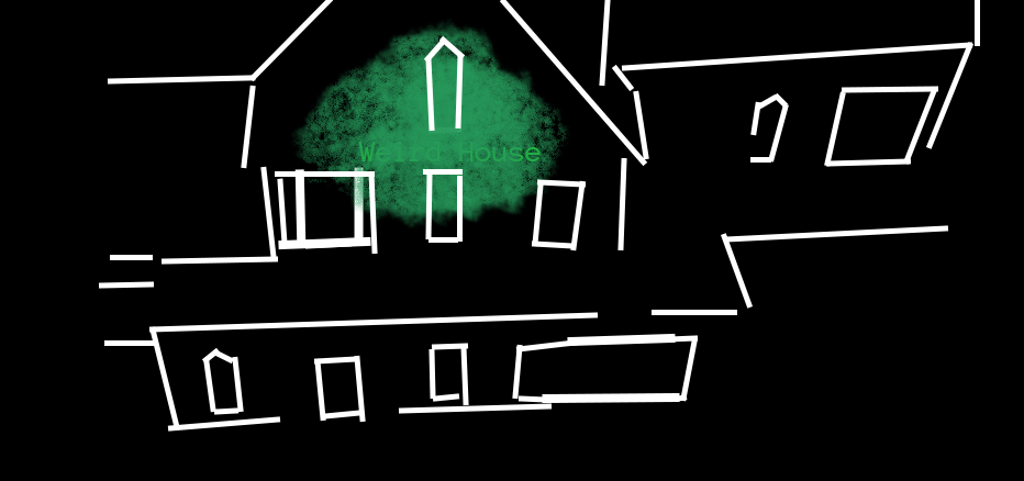 The Weird House