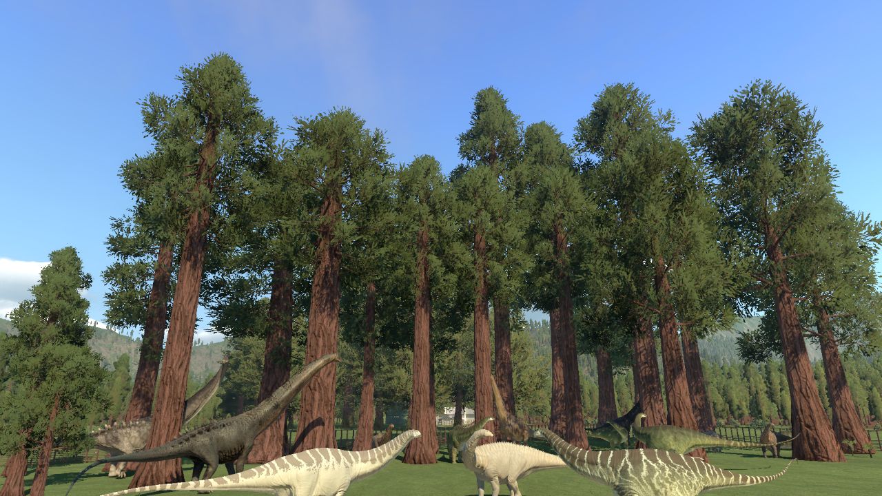 Sequoiadendron giganteum sized up BY Edhelluin