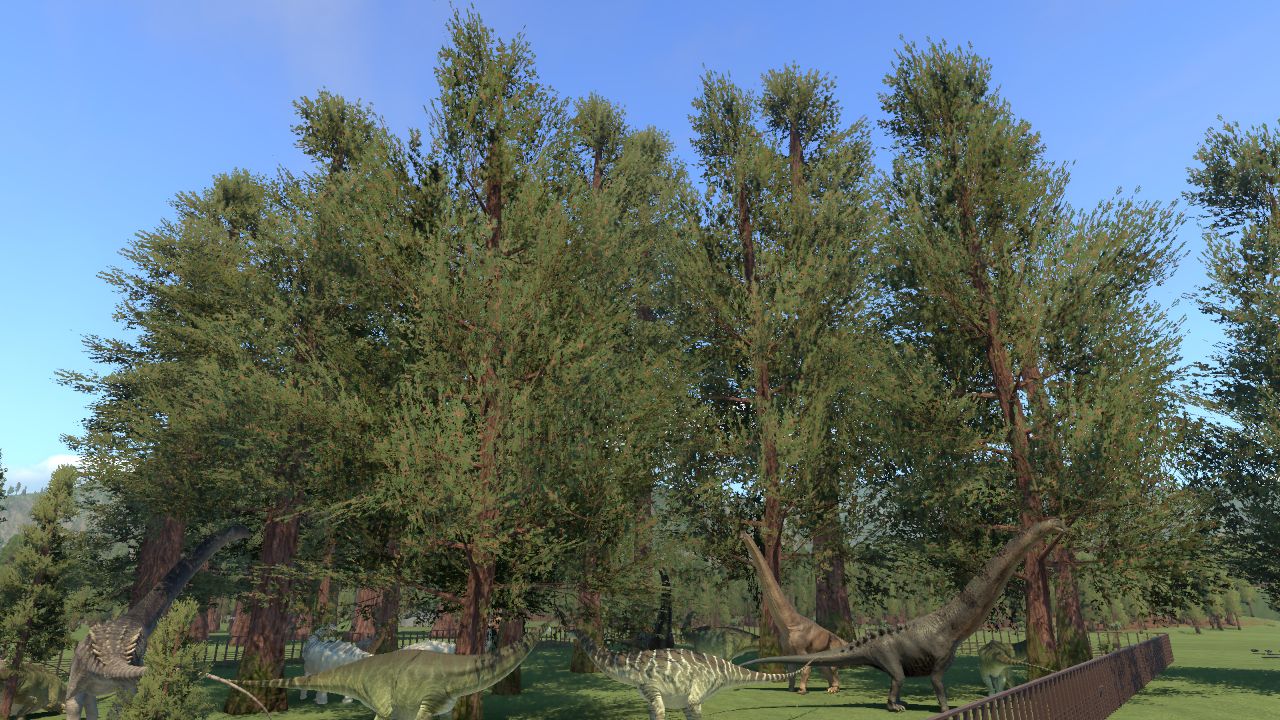 Sequoia sempervirens sized up BY Edhelluin
