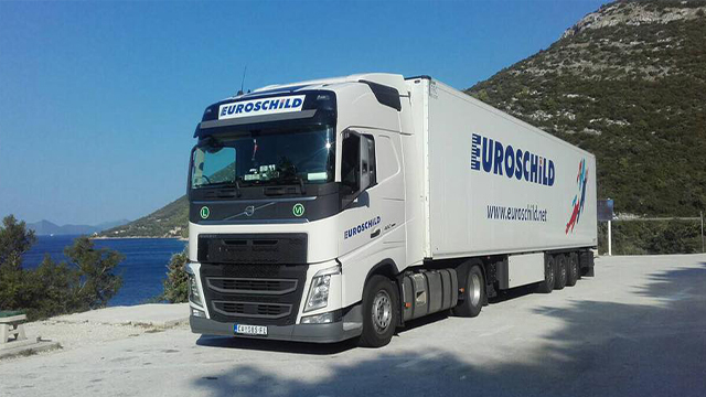 Combo Skin Euroschild