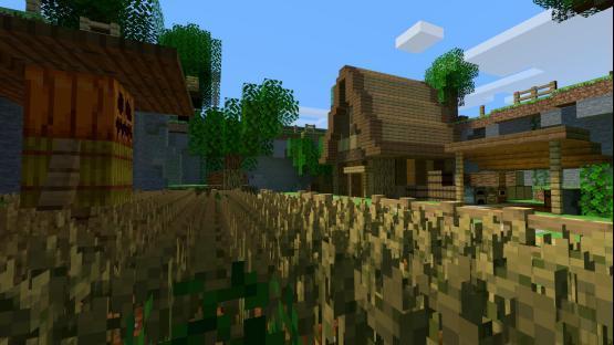 Minecraft Adventures [COOP]