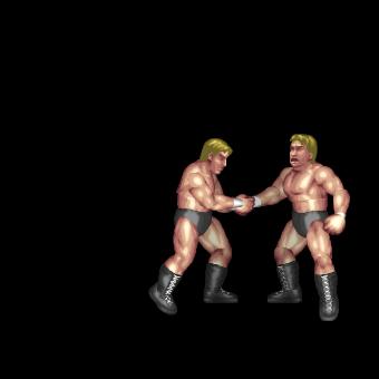 Pepsi Twist / Hammerlock Lariat