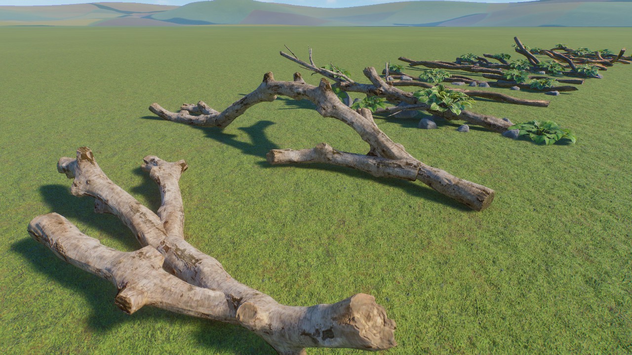 Branch Collection