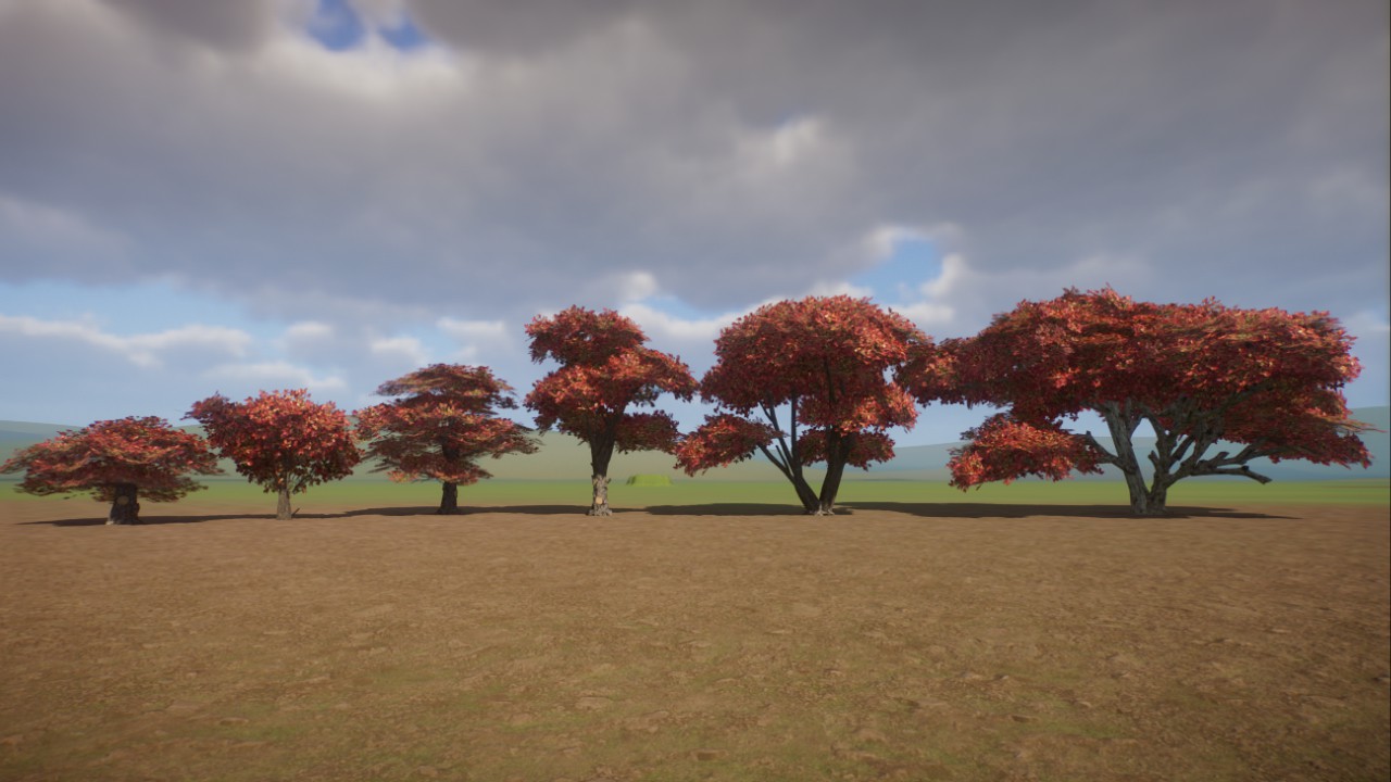 Red Japanese Maple Set
