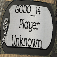 Custom Dogtag patches!!!