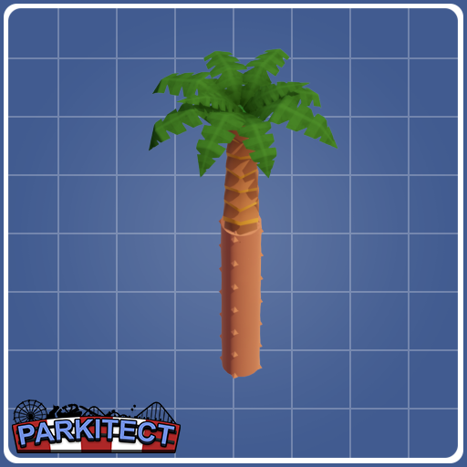 Tall Palm