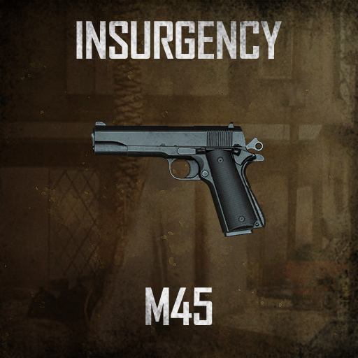 Insurgency M45