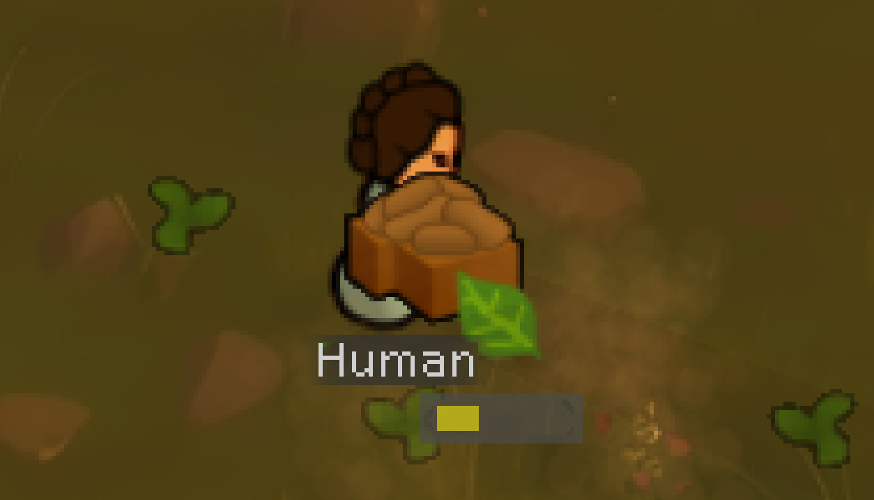 HBs No Seeds Please