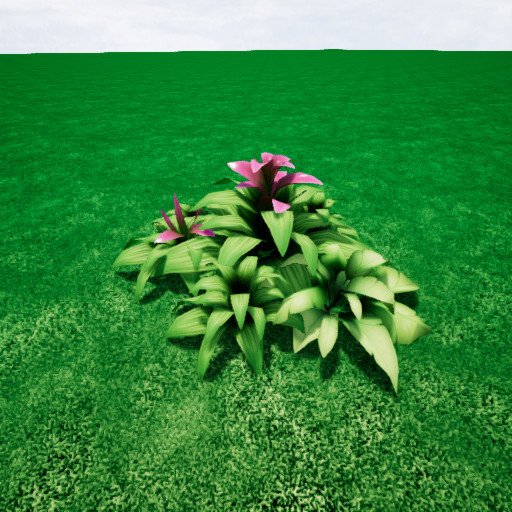 Small Flowerbush