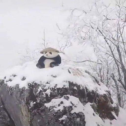 Kamyk Wangmu Aiming
