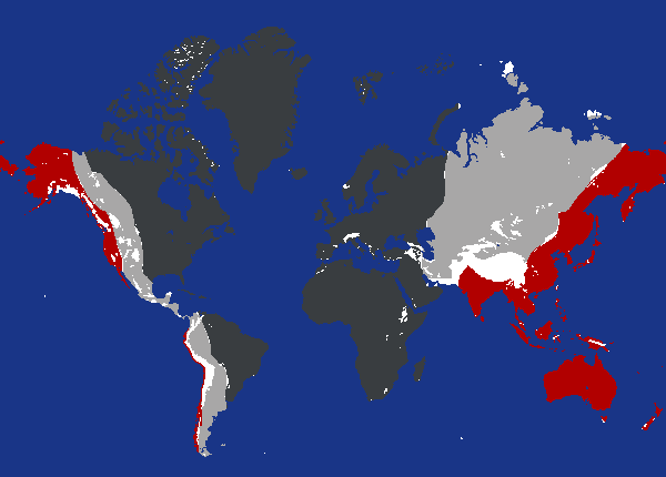 World Map(The Man in the High Castle)