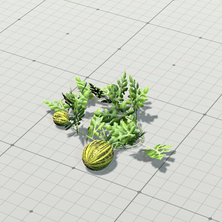 Bush, Watermelon
