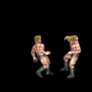 Double Dropkick (Post)
