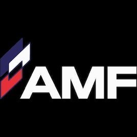 AMF AIO French Army Custom Units