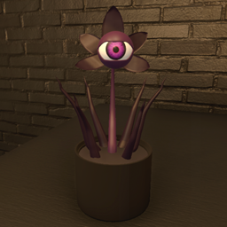 PURPLE LEAVED VIOLET EYED PLANT
