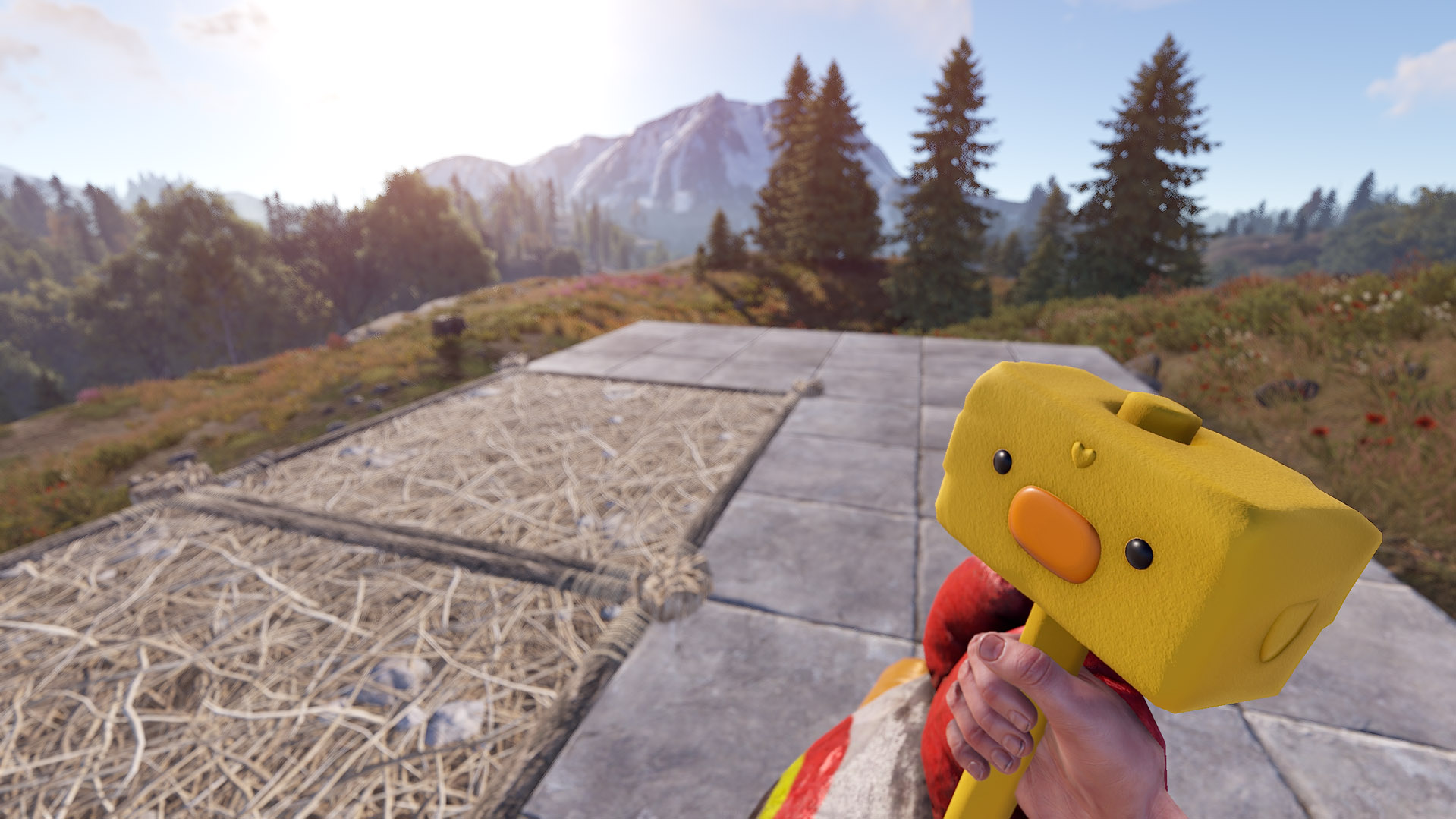 Easter Chick Hammer