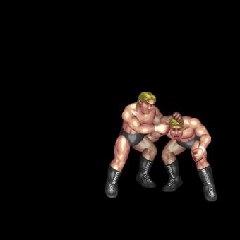 Step Kick