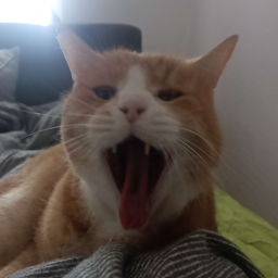 Odin the Almigthy