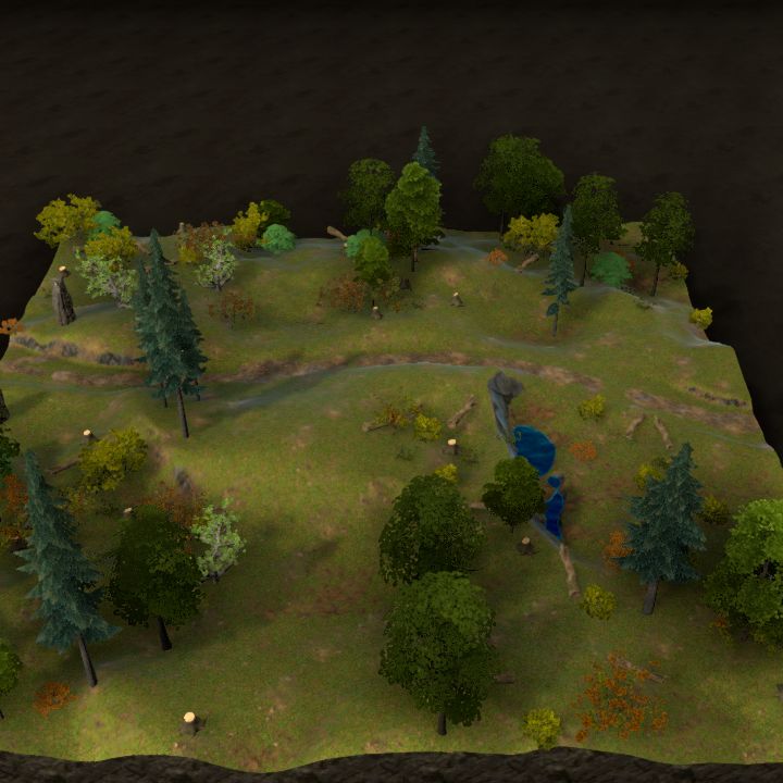 Forest track