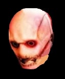 Nelvesh