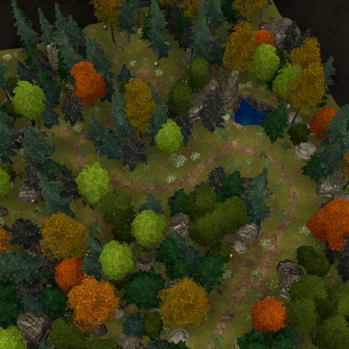 Forest Pond with Path