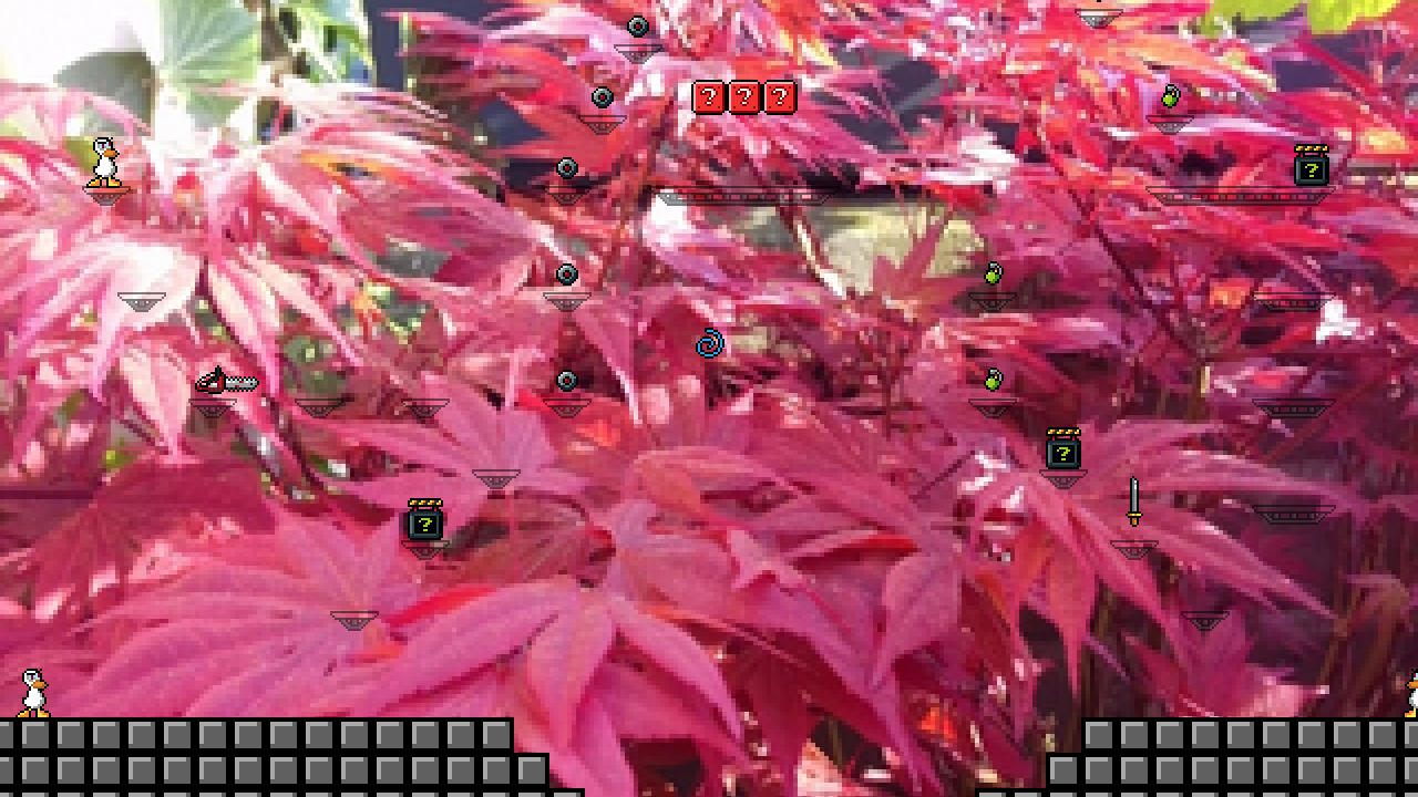 Maple tree madness