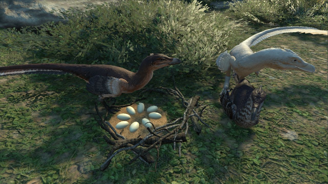 Tiny Nest