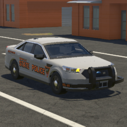 BSP 2019 Ford Taurus (FPIS)