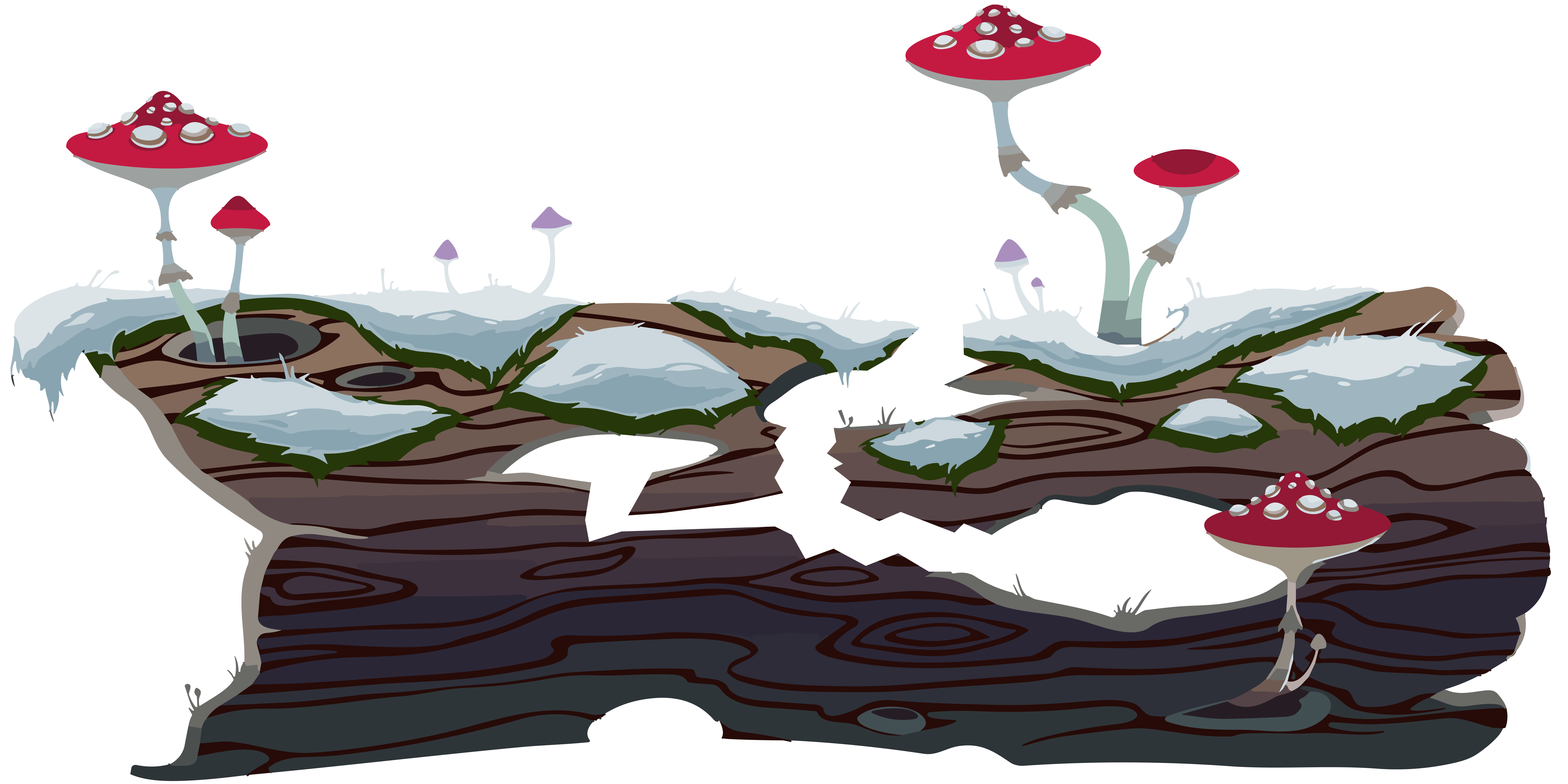 ### Mushroom Tree