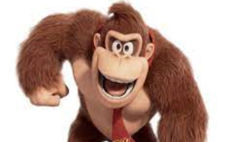 Kongs