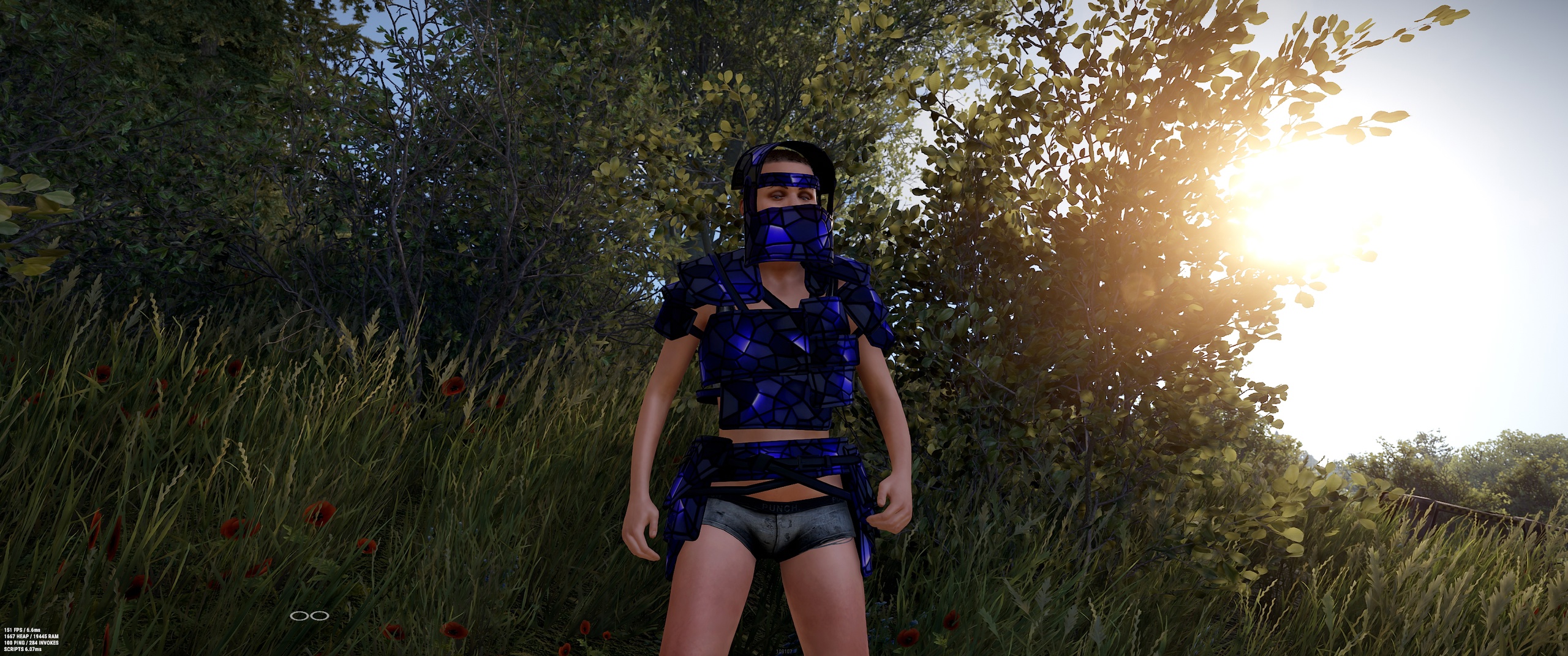 Ultramarine Vest
