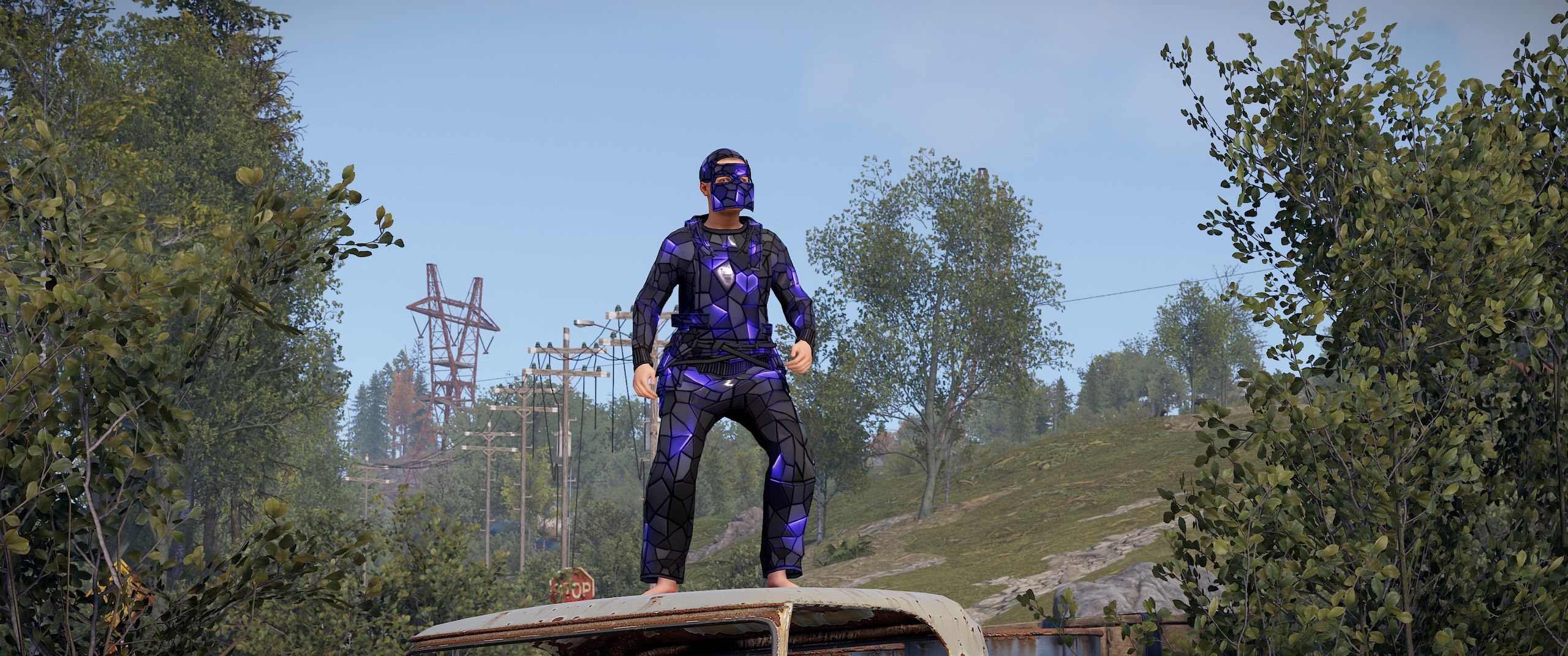 Ultramarine Pants