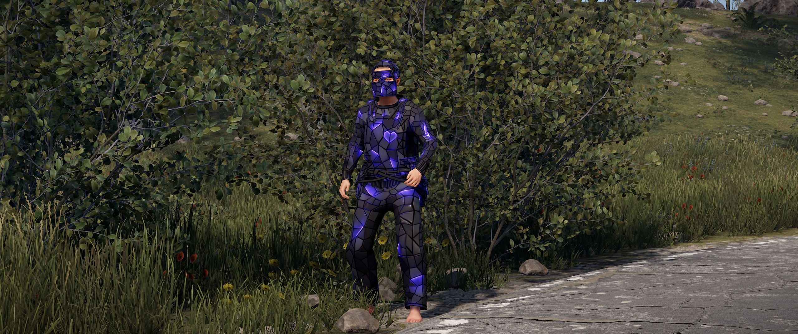Ultramarine Pants