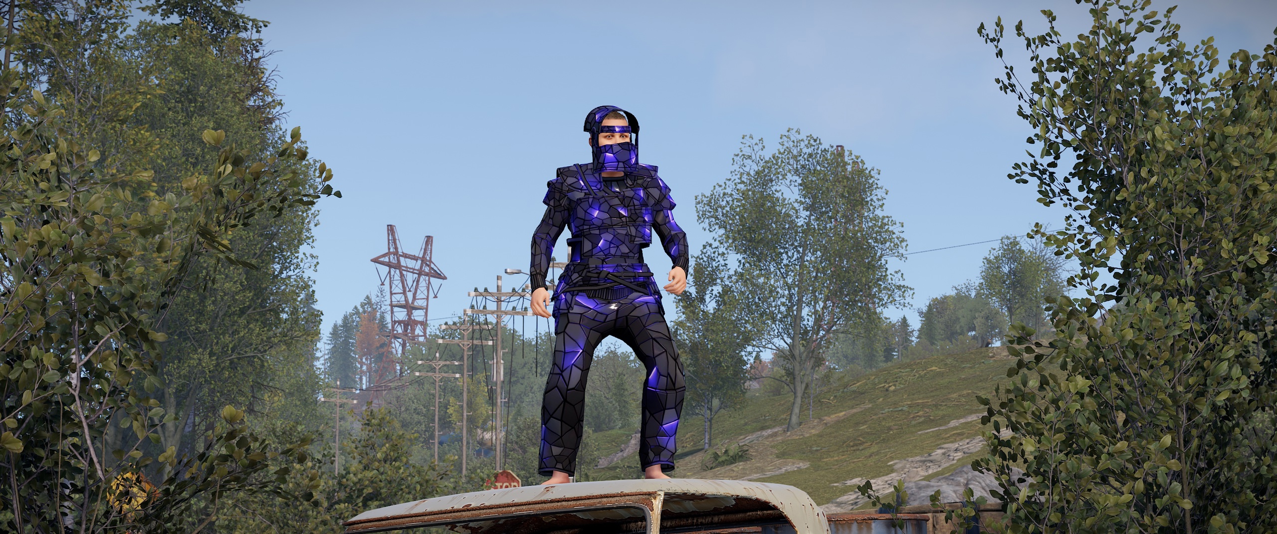 Ultramarine Pants