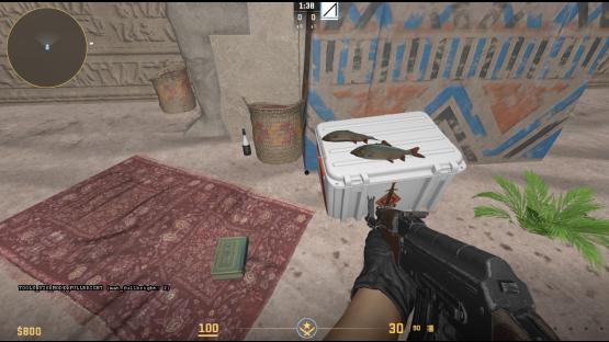 AIM_PAKISTAN – Counter-Strike 2 Mod