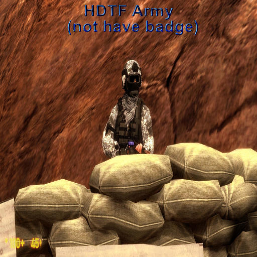 HDTF Army (not have badge)