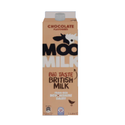 Chocolate Milk
