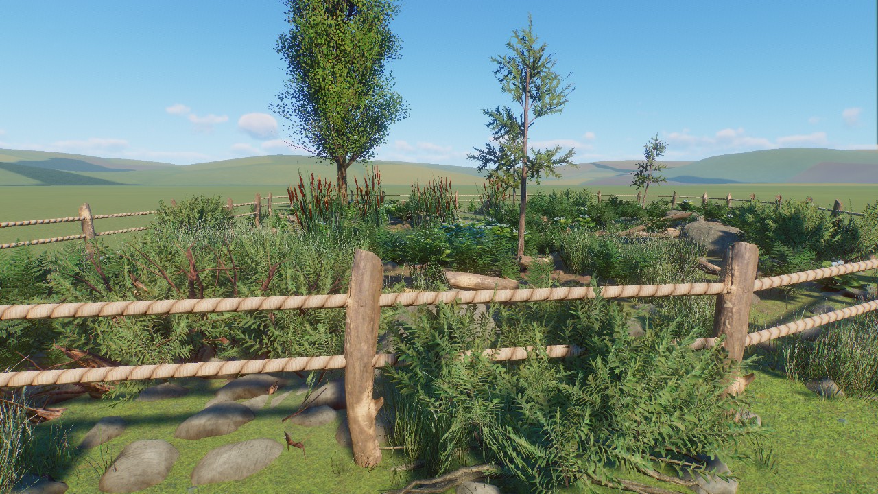 Nature Scenery 12