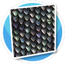 Dragon Scales