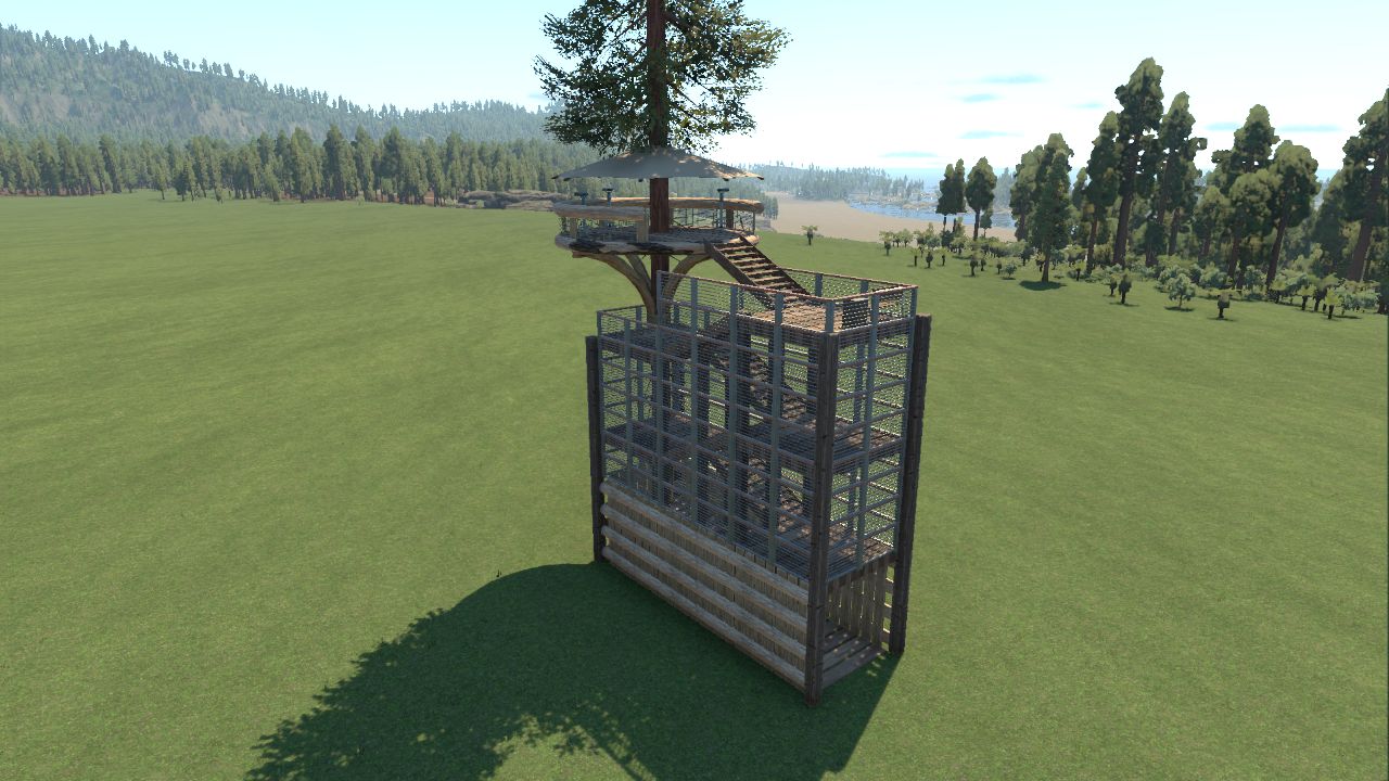 Redwood Tree Viewing Stand