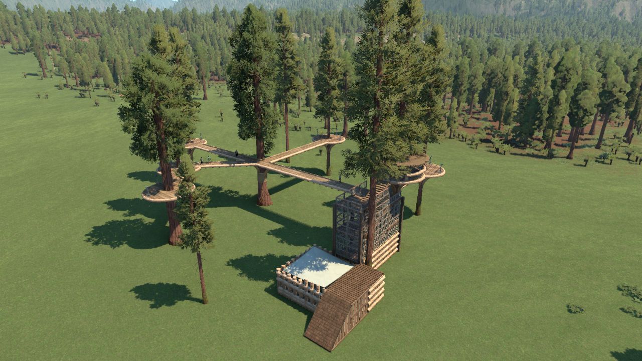 Redwood Tree Viewing Stand and Catwalk