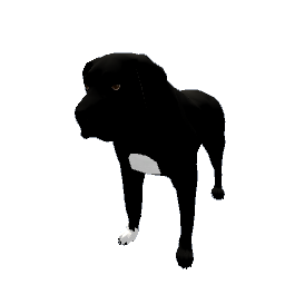 Mastiff