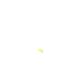 lime wedge