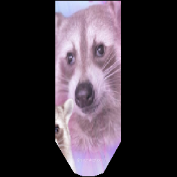 Edlim's Quite Excellent Banners - Annoying Racoon