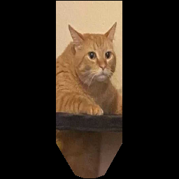 Edlim's Quite Excellent Banners - Cat